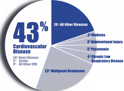 coronary heart disease statistics 2010. When a coronary artery or