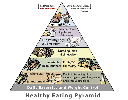healthy food pyramid for adults. the Healthy Eating Pyramid